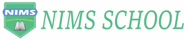 website header